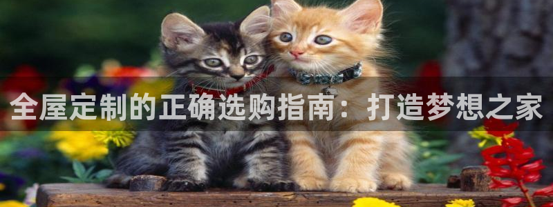 Bb电子琴和弦是哪个