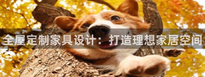 bb电子哪个平台好出款啊