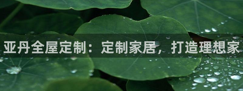 bb电子哪个平台好用