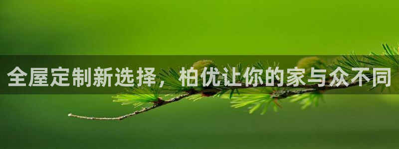 bb电子哪个平台好啊
