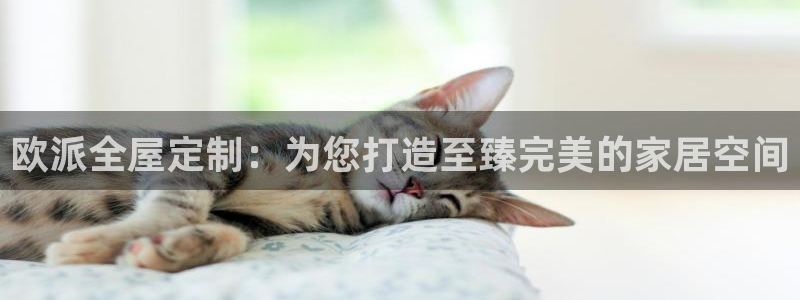 bB电子琴和弦