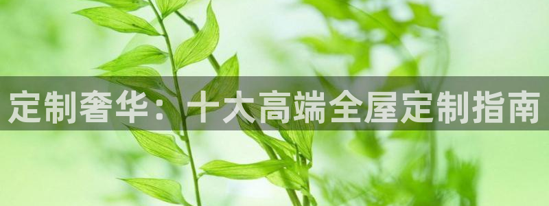 网上bb电子为什么那么假的
