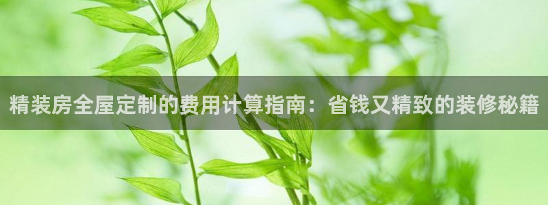 bb电子哪个平台好点