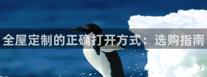 bb电子哪个平台好用一点