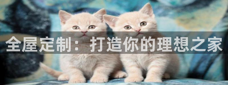 bb电子哪个平台好些