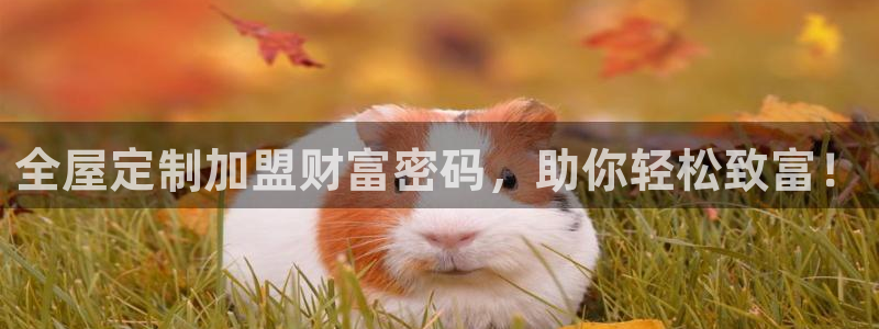 xbb电子游艺