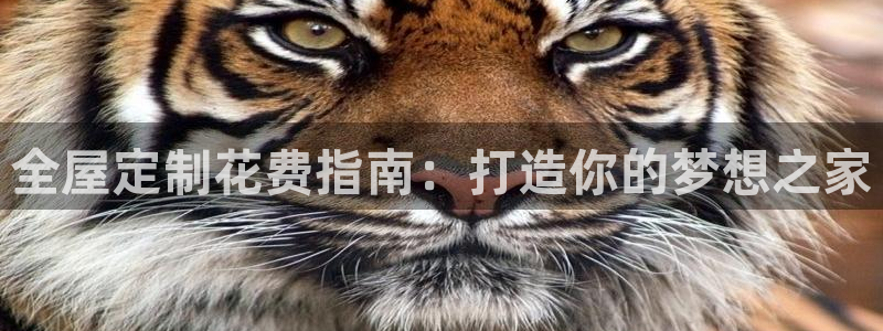 bb电子什么游戏好赢