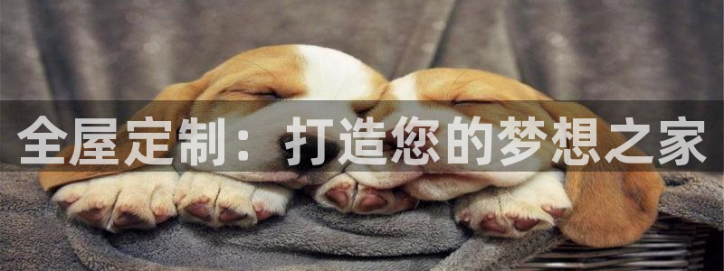 bb电子哪个平台好一点
