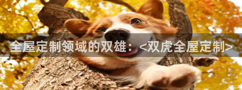 bb电子哪个平台好用