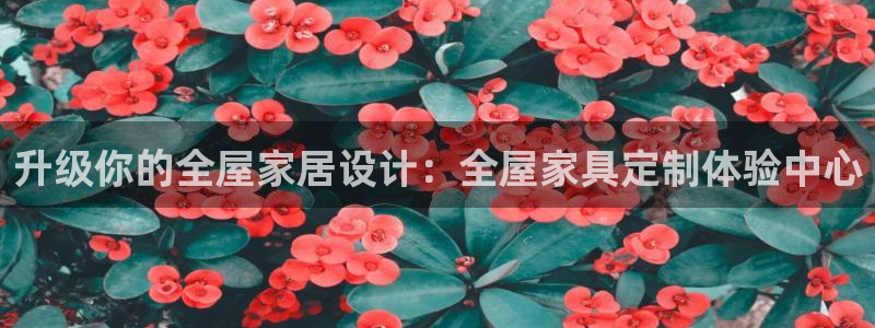 bb电子掉彩金