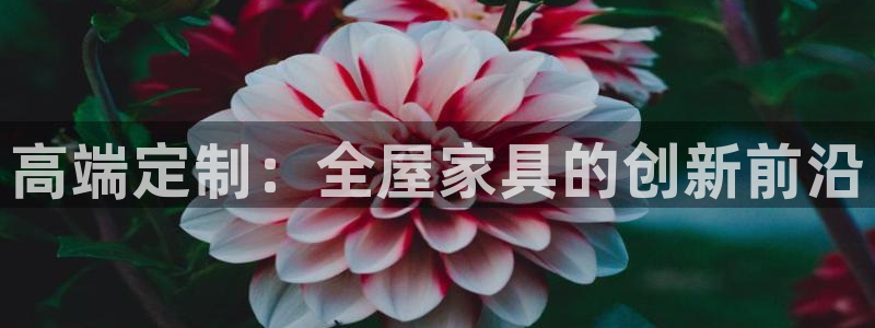 bb电子教育平台
