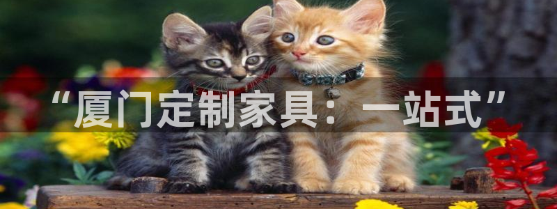 BB电子烟官网