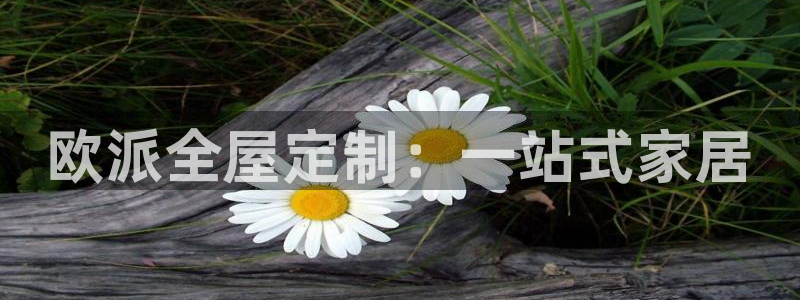 bB电子琴和弦