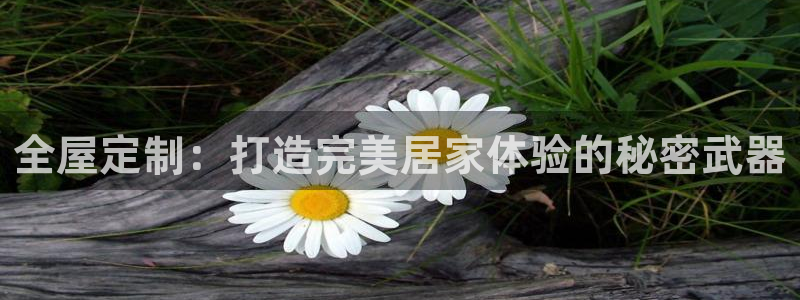 BB电子哪个平台好出款