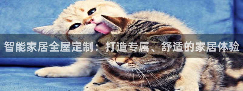 Bb电子琴和弦是哪个