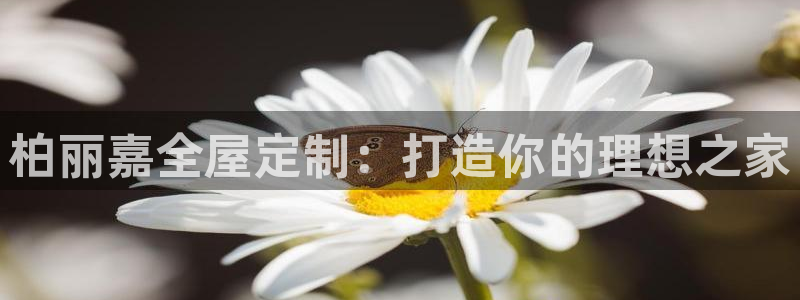 bb电子为什么总赢不了