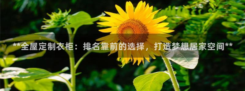 bb电子糖果哪个网站好mg官方电子平台