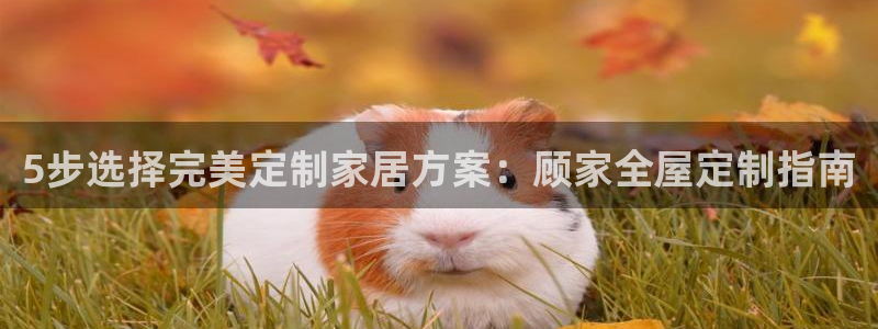 bb电子