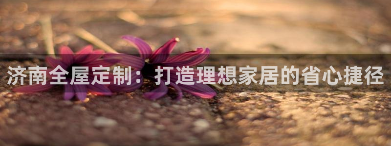 bb电子哪个平台好用一点