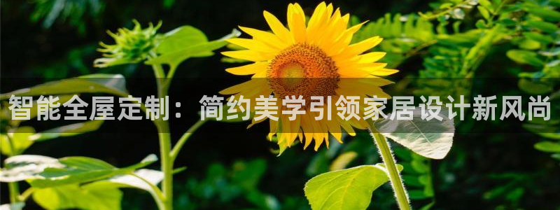 bb电子教育平台